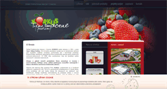 Desktop Screenshot of korkus.pl